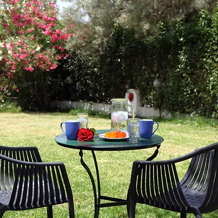 Summer House Louisa Apartamento Ligia