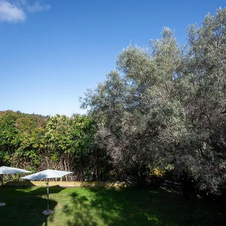 Apartamento Summer House Louisa *